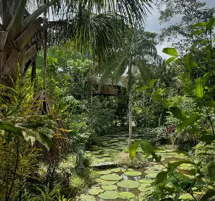 galería-Tarapoto-4